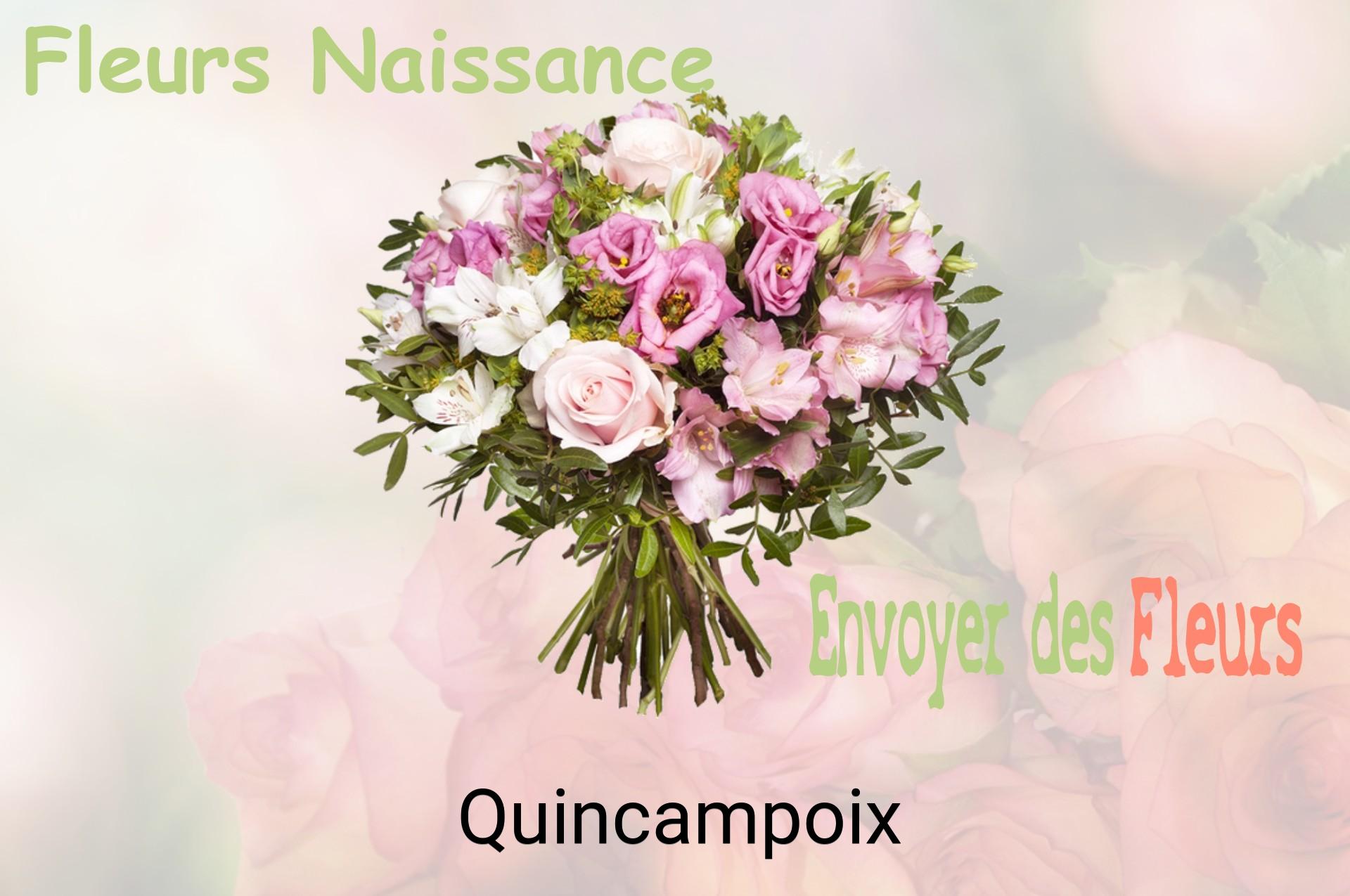 Bouquet de fleurs de naissance livré à Quincampoix